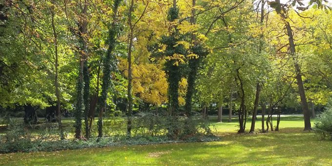 Margaret Island (Budapest)