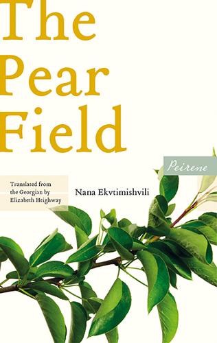 Cover image for The Pear Field by Nana Ekvtimishvili