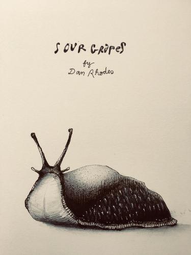 Cover image for Sour Grapes by Dan Rhodes