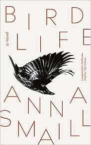 Cover image for Bird Life by Anna Smail