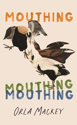 Cover image for Mouthing by Orla Mackey