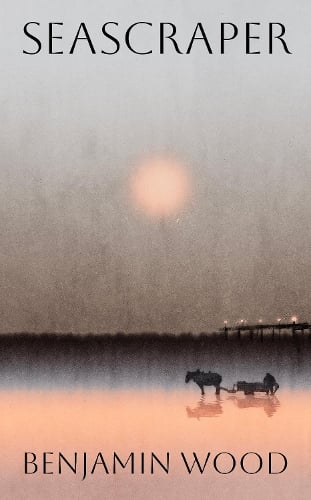 Cover image for Seascraper by Benjamin Wood