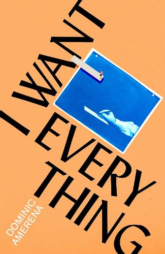Cover image for I Want Everything by Dominic Amerena
