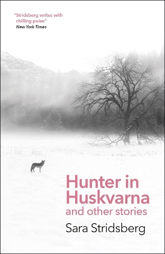 Cover image for Hunter in Huskvarna by Sara Stridsberg